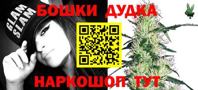 крисы Ливны