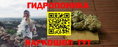 прущие грибы Ликино-Дулёво